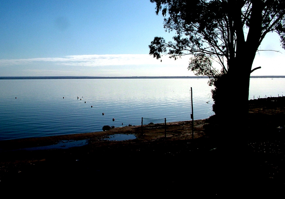 "laguna azul" de Ricardo Picco