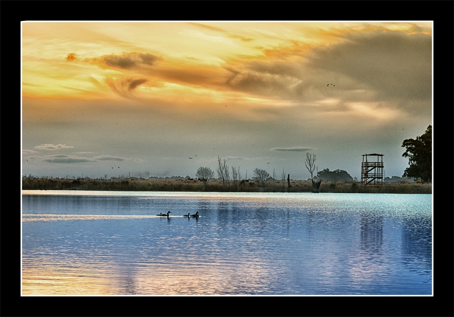 "Paseo dominical.." de Hugo Carlos Torres