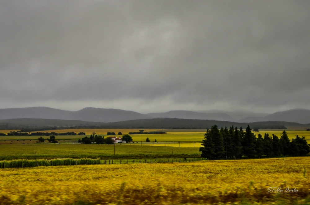 "Por llover" de Stella Avila