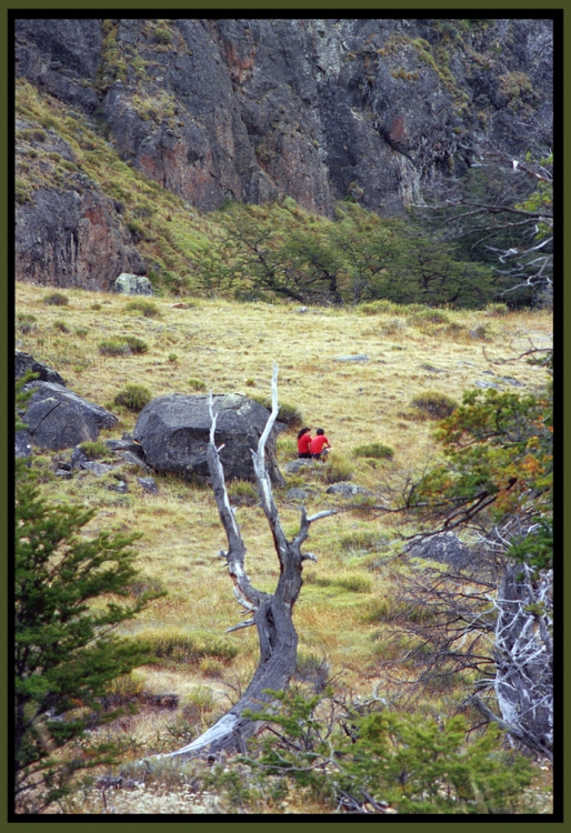 "En la soledad patagnica" de Jorge Vicente Molinari