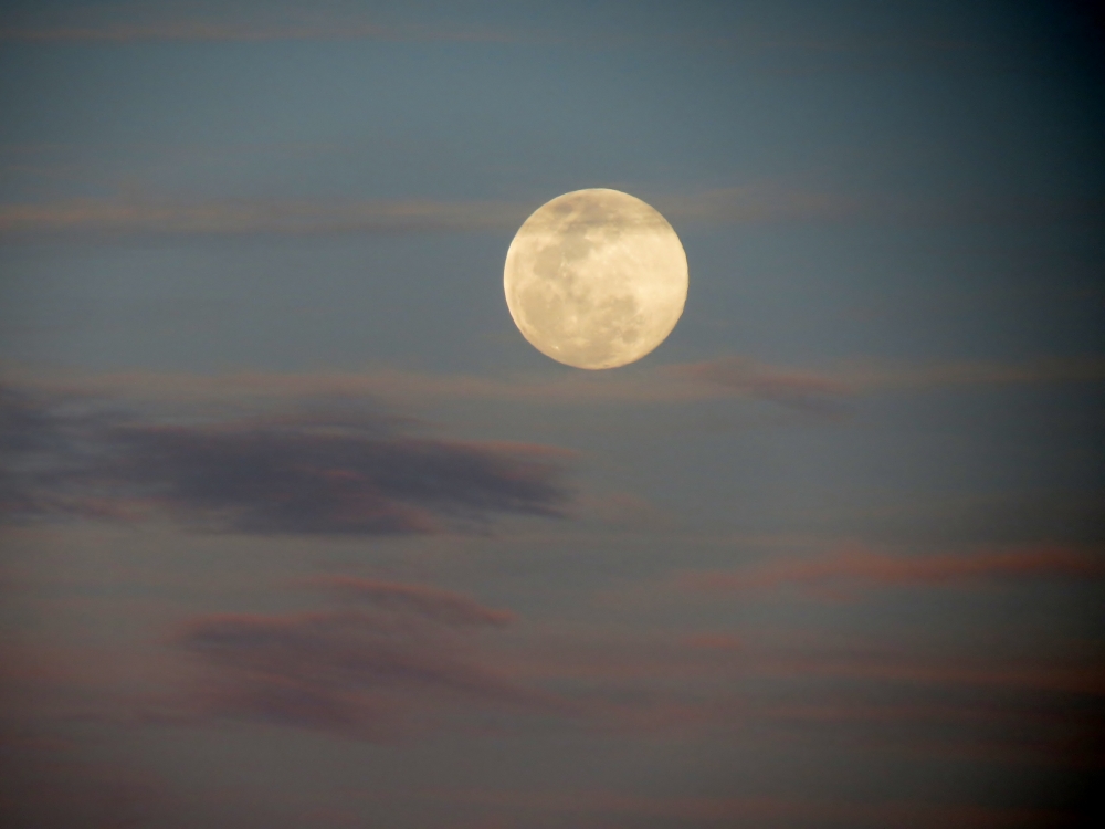 "Luna de Primavera" de Silvia Rivero