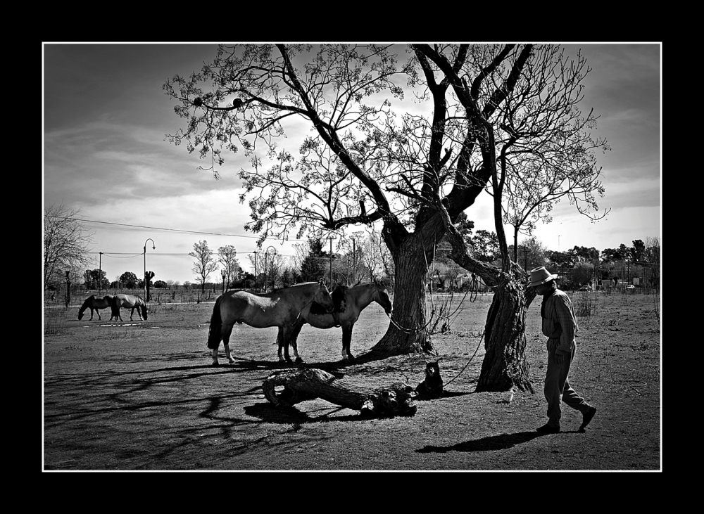 "El paisano y sus caballos" de Alberto Elizalde