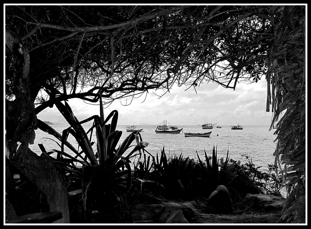 "Una ventana al mar !!" de Alberto Matteo