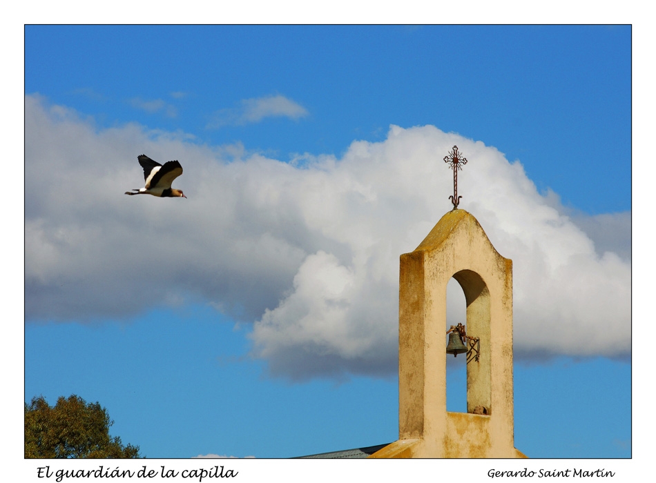 "El guardin de la capilla" de Gerardo Saint Martn