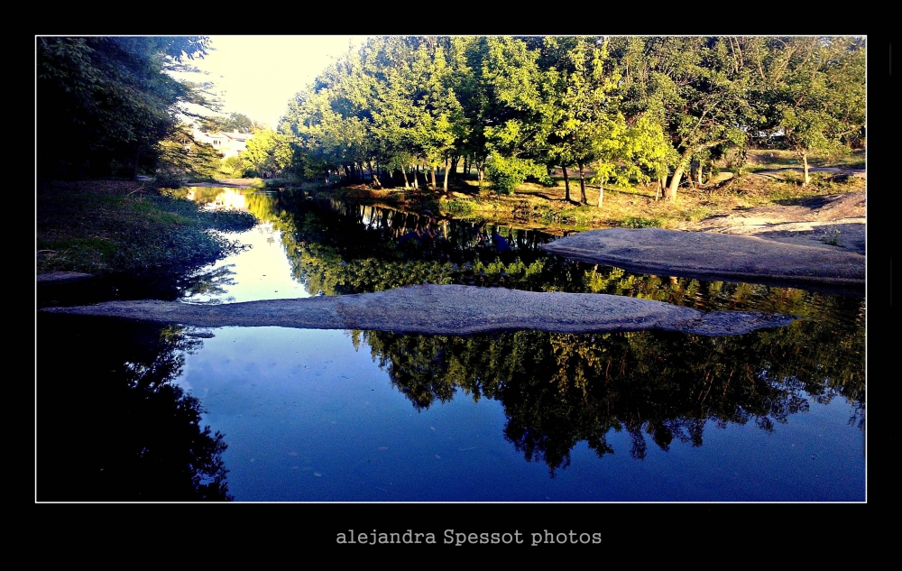 "Reflejos" de Alejandra Spessot