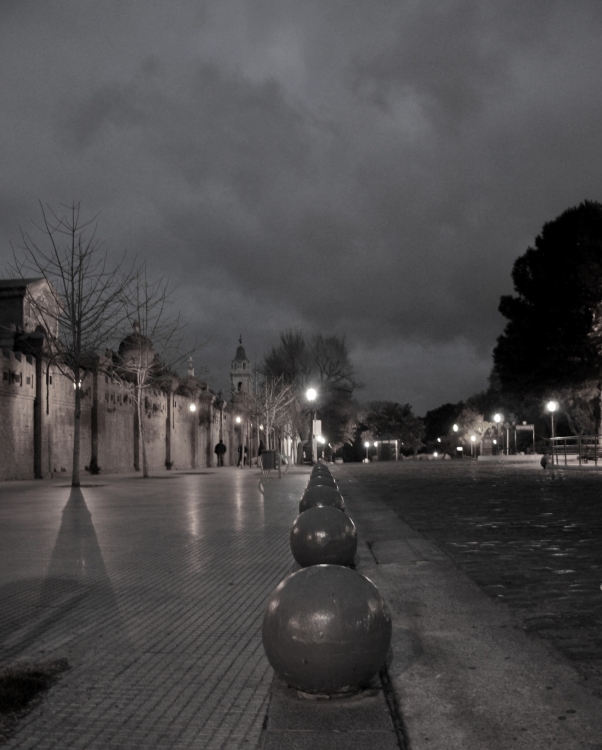 "tanto tiempo" de Guillermina Redolatti