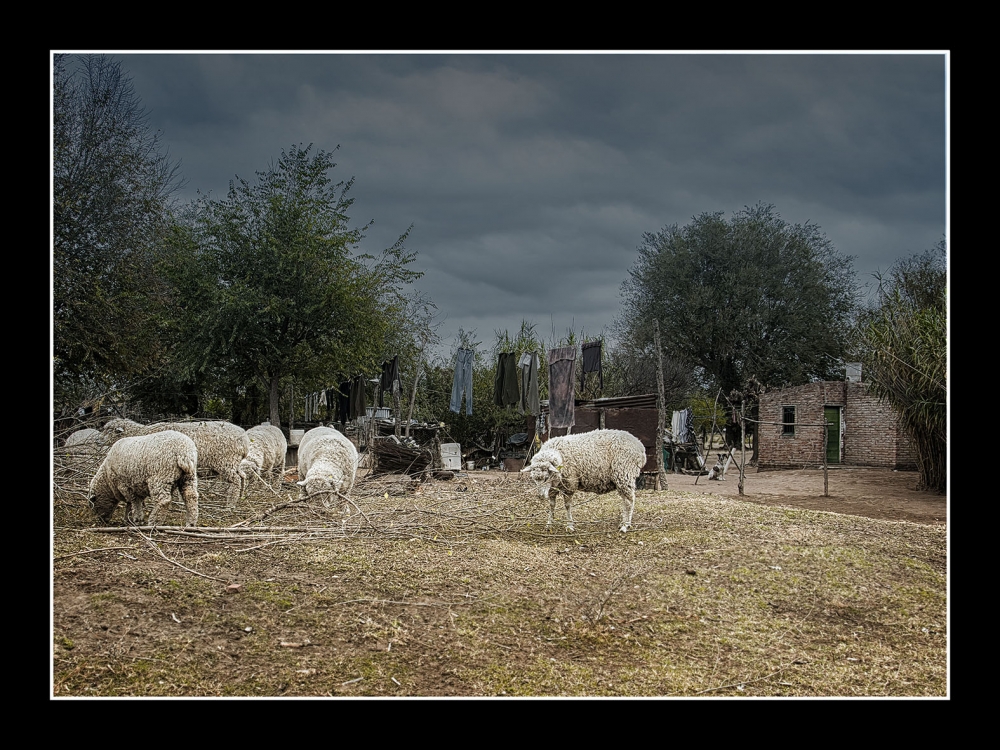 "ranchito en el oeste" de Jose Luis Anania