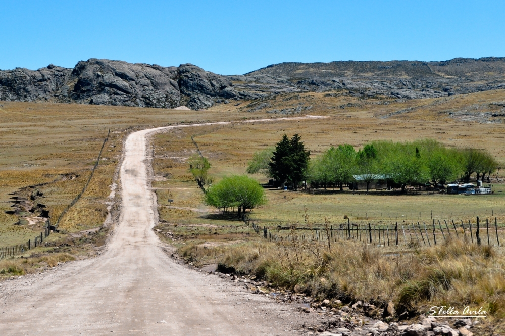 "Camino y piedra..." de Stella Avila