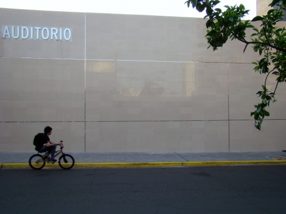 "Auditorio" de Rubn Oscar Budn