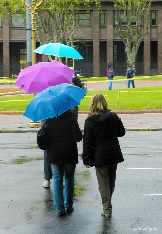 "Lluvia De Colores" de Andrea Pellegrini