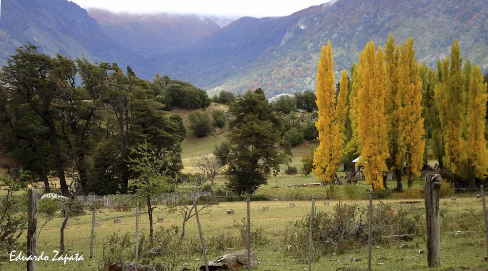 "paisaje de los sueos" de Eduardo Zapata