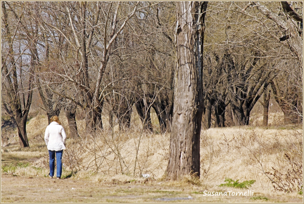 "Disfrutando la naturaleza." de Susana Tornelli