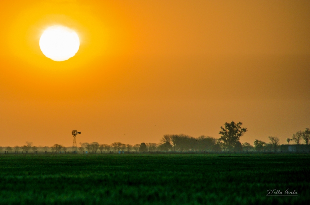 "Sol de domingo" de Stella Avila