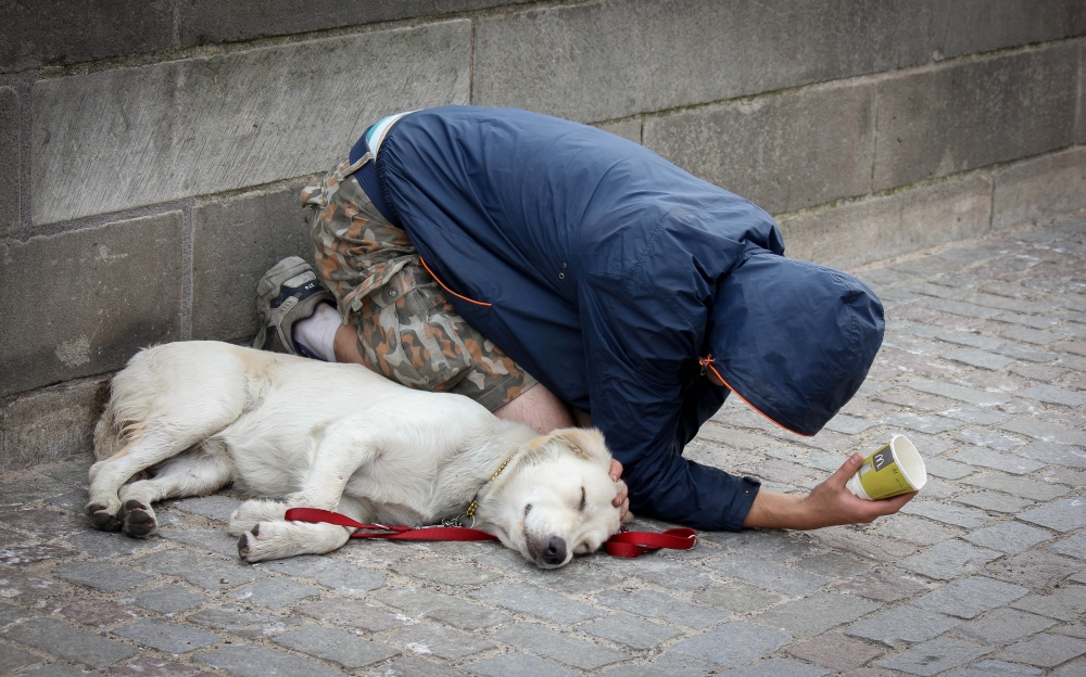 "Homeless" de Sebastin Navarro Lehoux