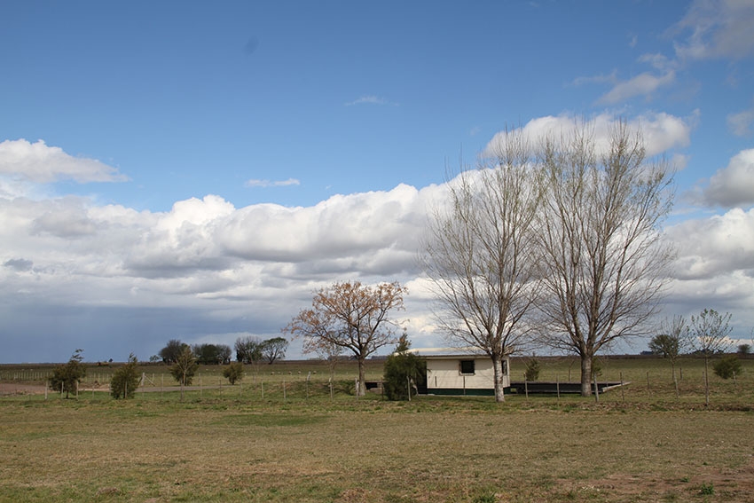 "nubes de algodn" de Vernica Dana