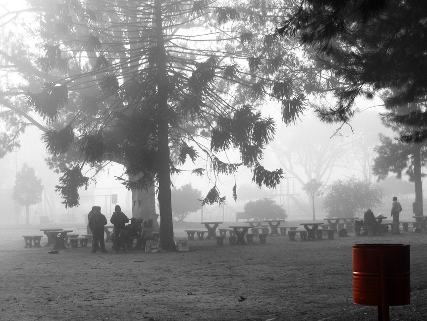 "desayuno en la niebla" de Jorge Mariscotti (piti)
