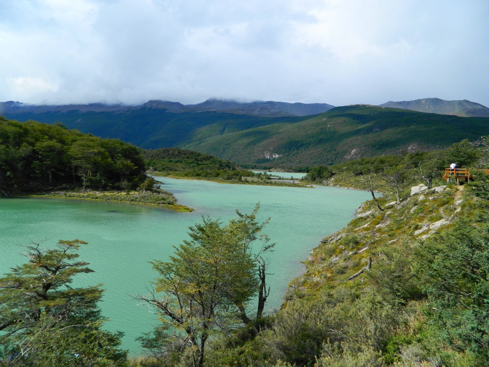 "Verdes Australes" de Jose Torino