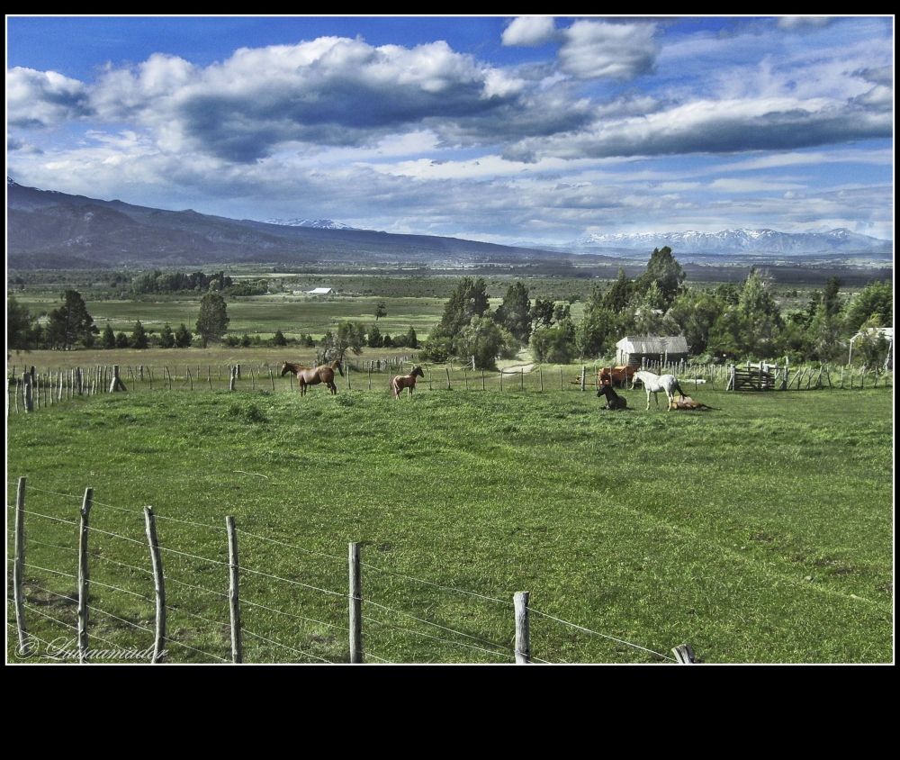 "PRADERA" de Luisamaria Amador