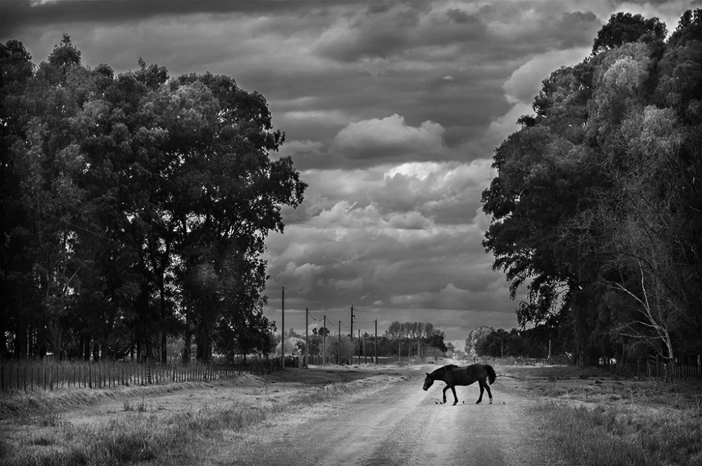 "A paso lento" de Fernando Valdez Vazquez