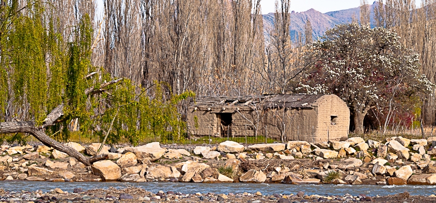 "postal de la patagonia neuquina" de Daniel Aciar