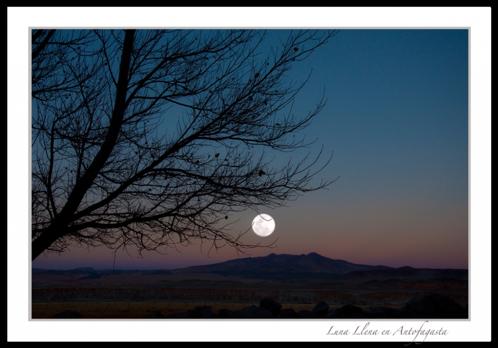 "Luna Llena en Antofagasta" de Ruben Moscatelli