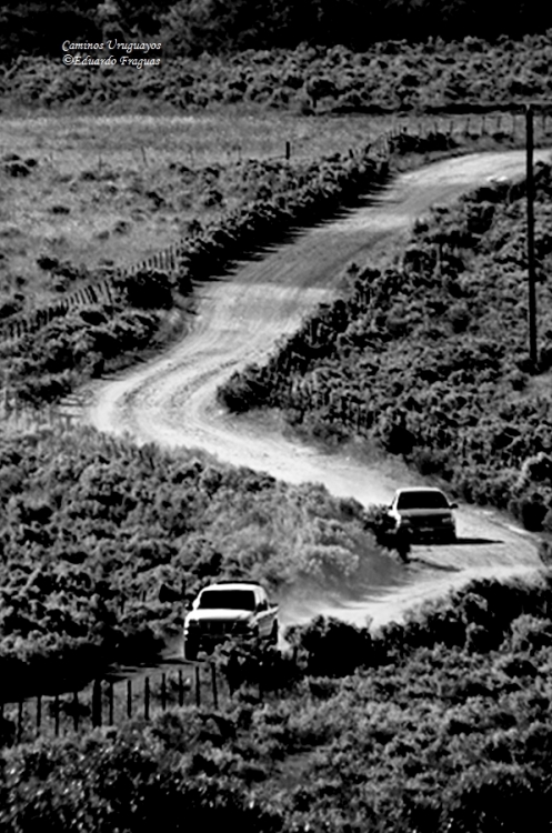 "Camino Uruguayo" de Eduardo A. Fraguas