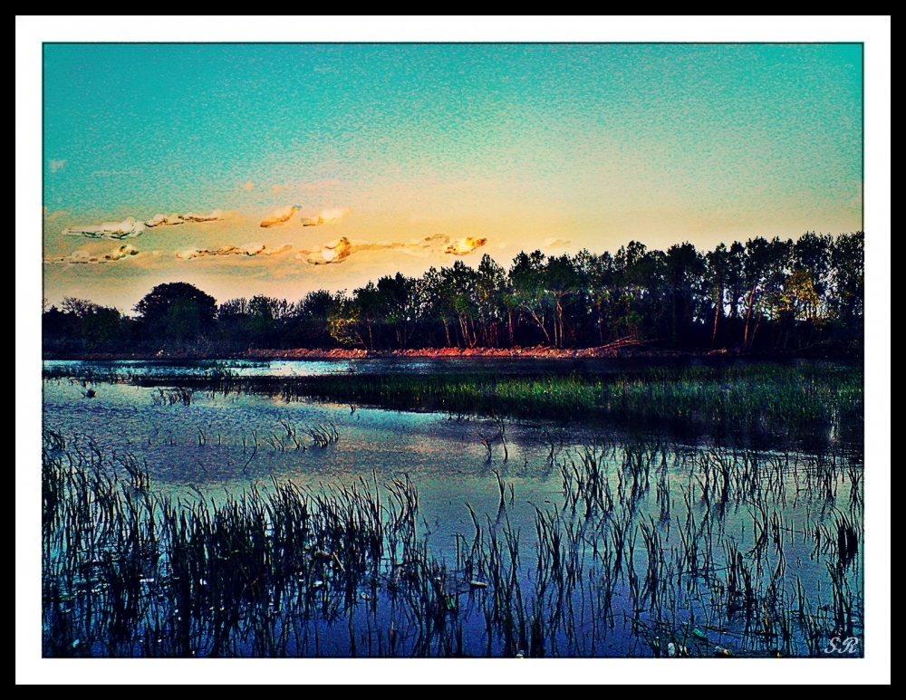 "Atardecer en la Reserva" de Silvia Rodrigo