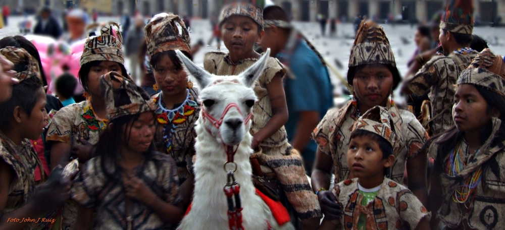 "Llama Mi Centro de Atencin" de John J Ruiz