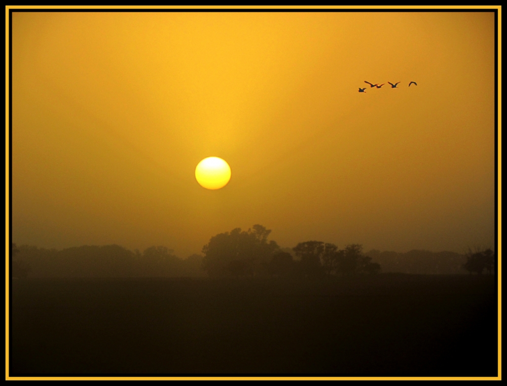 "Amanecer en la ruta !!" de Alberto Matteo