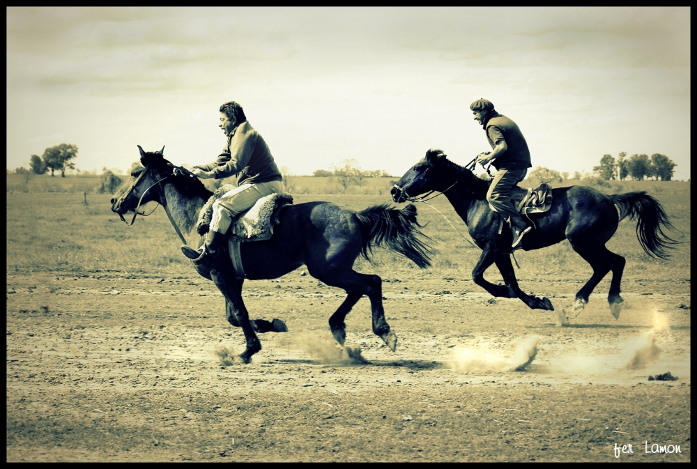 "Carrera de las cuadreras" de Fer Lamon