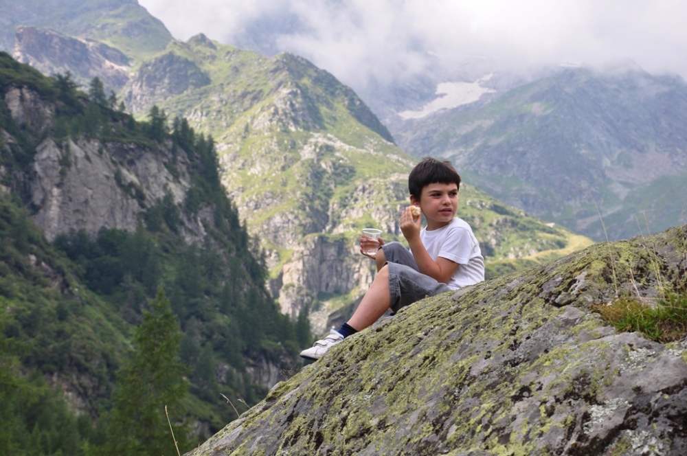 "Entre los Alpes" de Oscar Tanoni