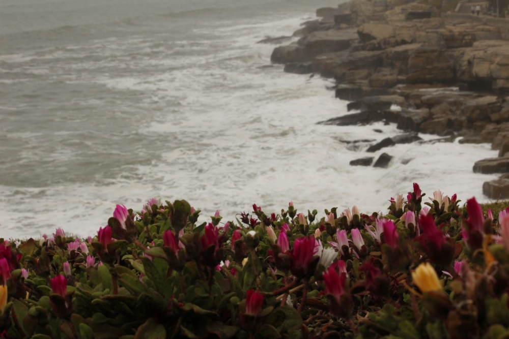 "`Las flores y el mar`" de Nahuel Ruzzo