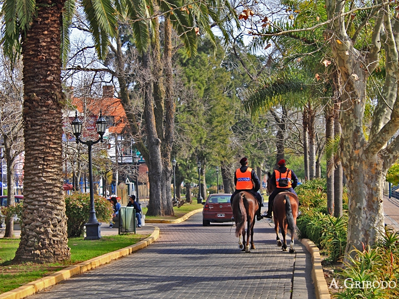 "Calle del Tigre" de Agustn Gribodo