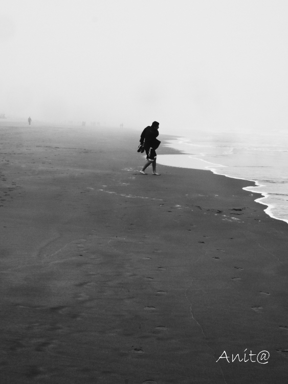 "Entre la niebla del mar" de Analia Coccolo