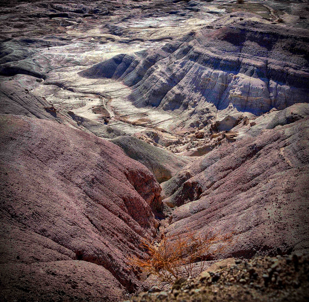 "Ischigualasto #2" de Claudio Salvagni