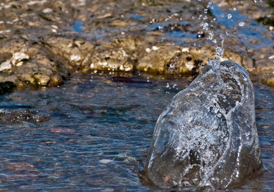 "Piedras al mar" de Alejandro Ruta