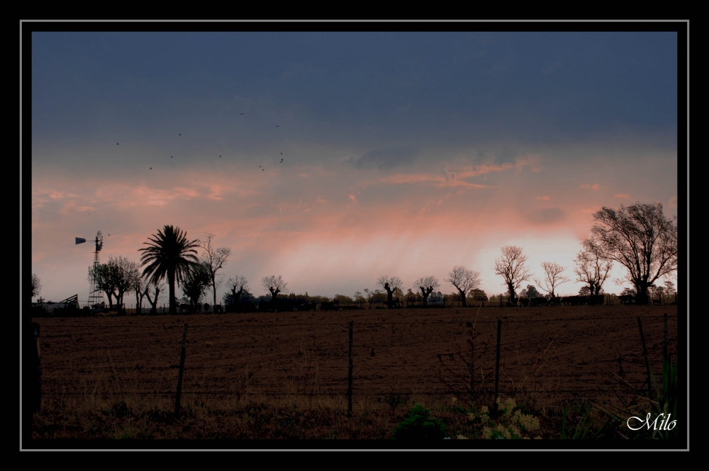 "`cosas de campo...`" de Emilio Casas (milo)