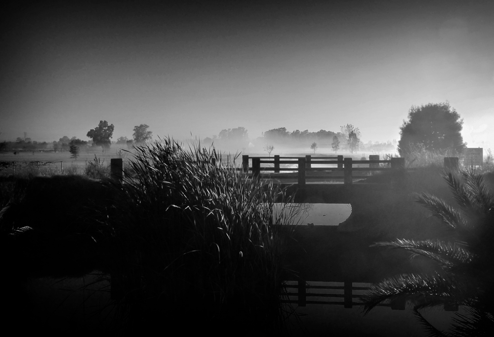 "El puente" de Fernando Valdez Vazquez