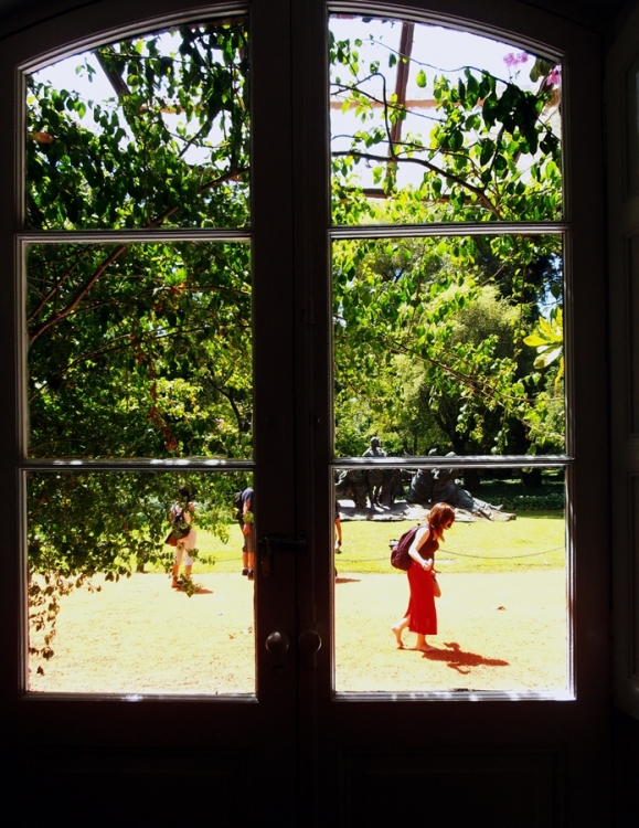 "Ventana del Botanico" de Andres Mancuso