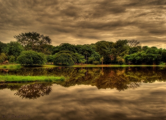 "La Laguna" de Jonny Santo