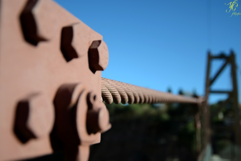 "Puente de Cacheuta" de Yamila Coniglione