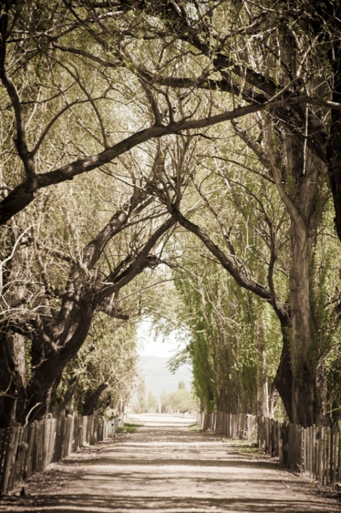 "El tunel" de Alejandro Ruta