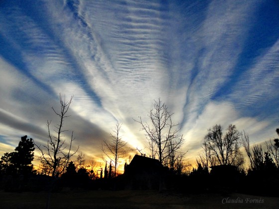 "Amanecer de invierno" de Claudia Forns