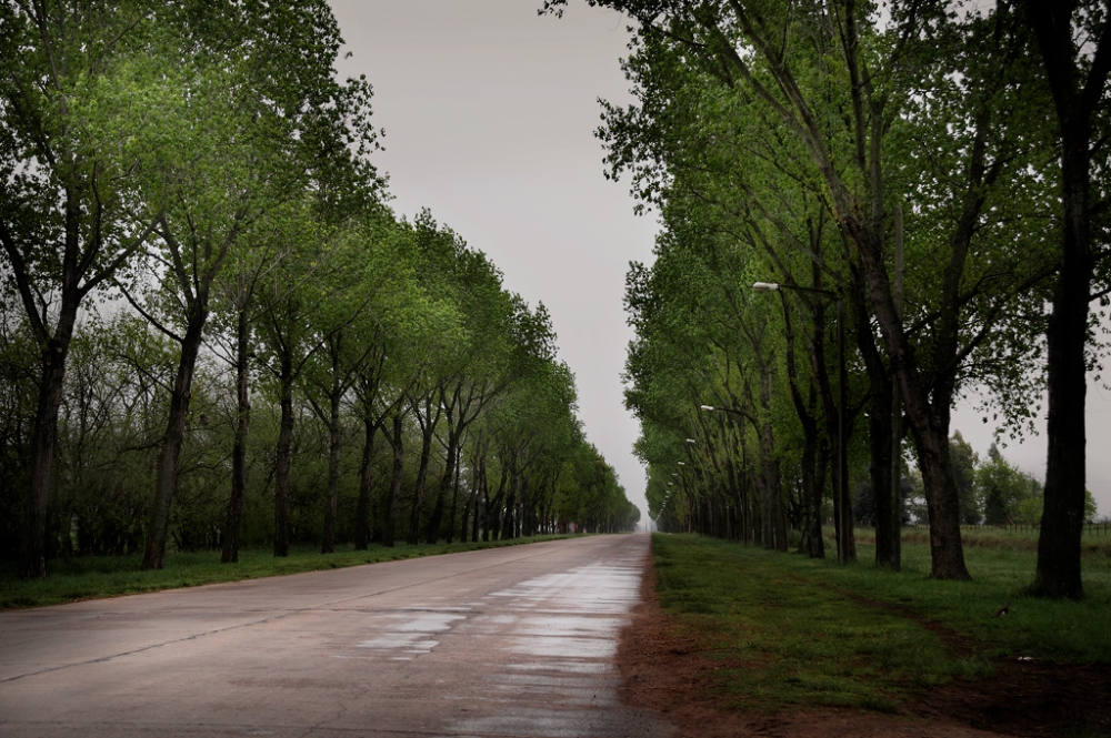 "Slo un camino" de Fernando Valdez Vazquez