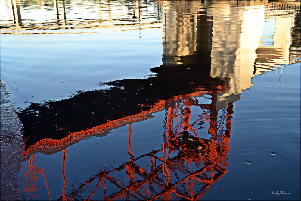 "Reflejos en agua turbias!!!" de Maria Laura Bausa