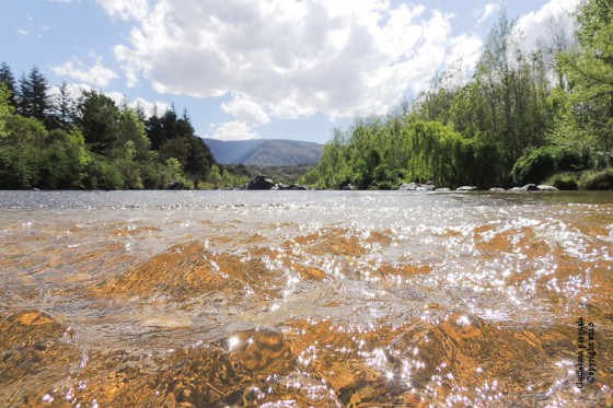 "rio serrano" de Guillermo Daniel Pasquale