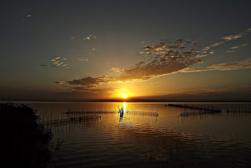 "una tarde en la albufera" de Pascual Navarro