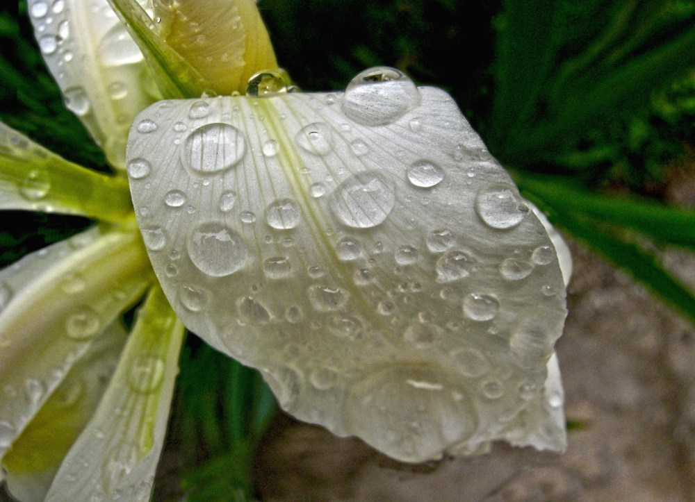 "Gotas" de Mara Griselda Garca Cuerva