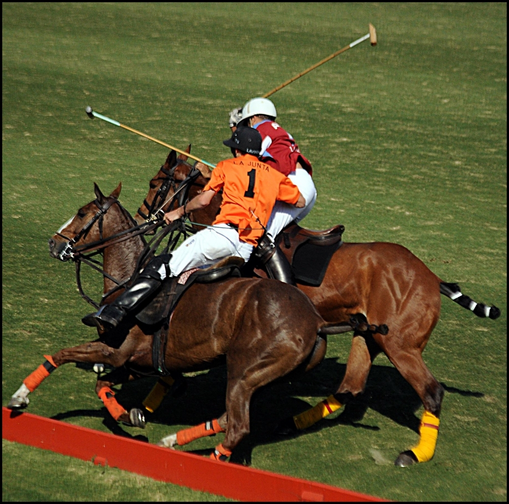 "Tarde de Polo" de Martin Salas Braconi