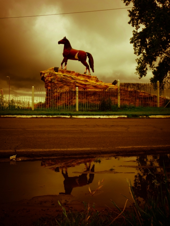 "El caballo y la tormenta...." de Maiam Oliveros